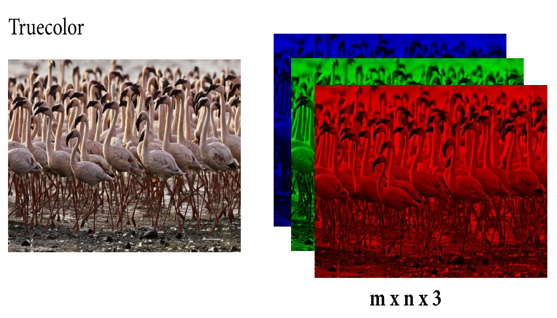 TechSource Systems Pte Ltd