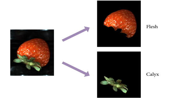 TechSource Systems Pte Ltd